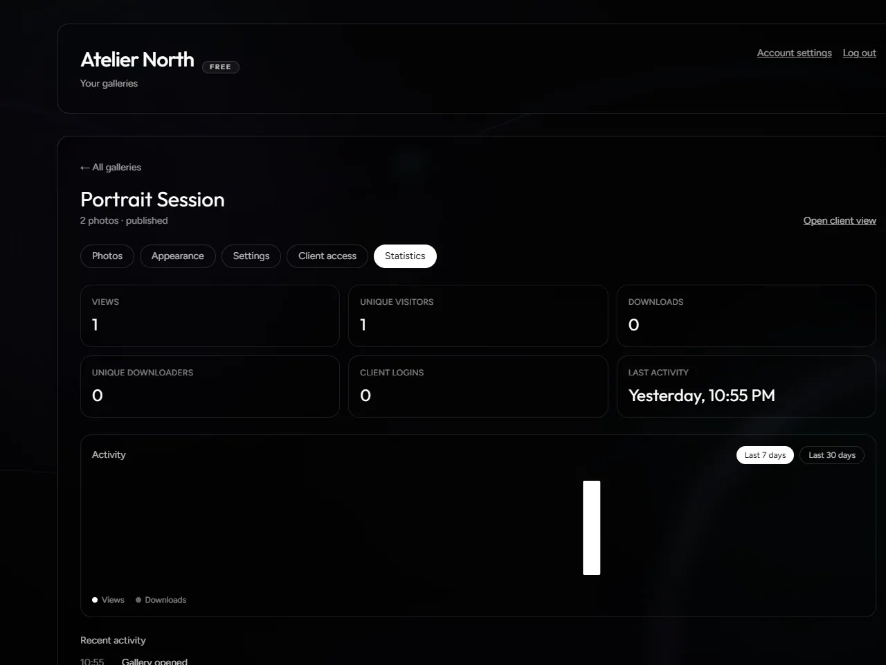 Gallery statistics in RemiXiss showing views, unique visitors, downloads and recent activity.